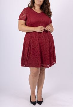 Immagine di CURVY GIRL LACE STRETCH DRESS